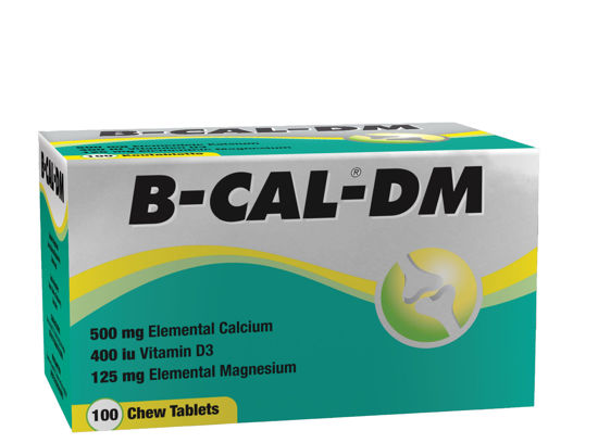Picture of B-Cal DM Chewable Tablets 100's